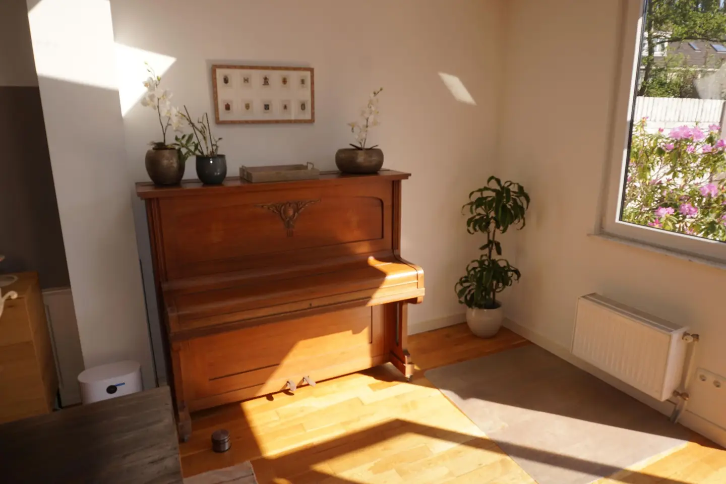 Foto #18 Huurwoning Hoge Rijndijk Leiden