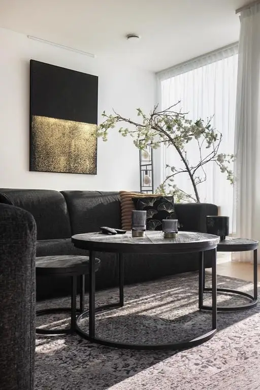 Foto #4 Appartement Herculeslaan Utrecht