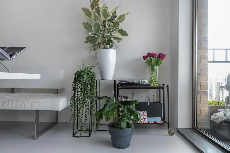 Foto #19 Appartement Andreasplein Amsterdam
