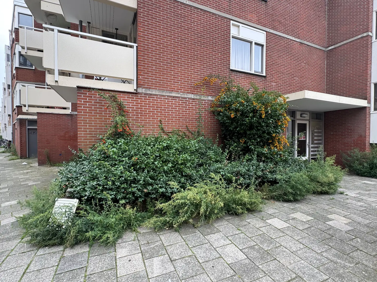 Foto #11 Appartement Riouwstraat Amsterdam