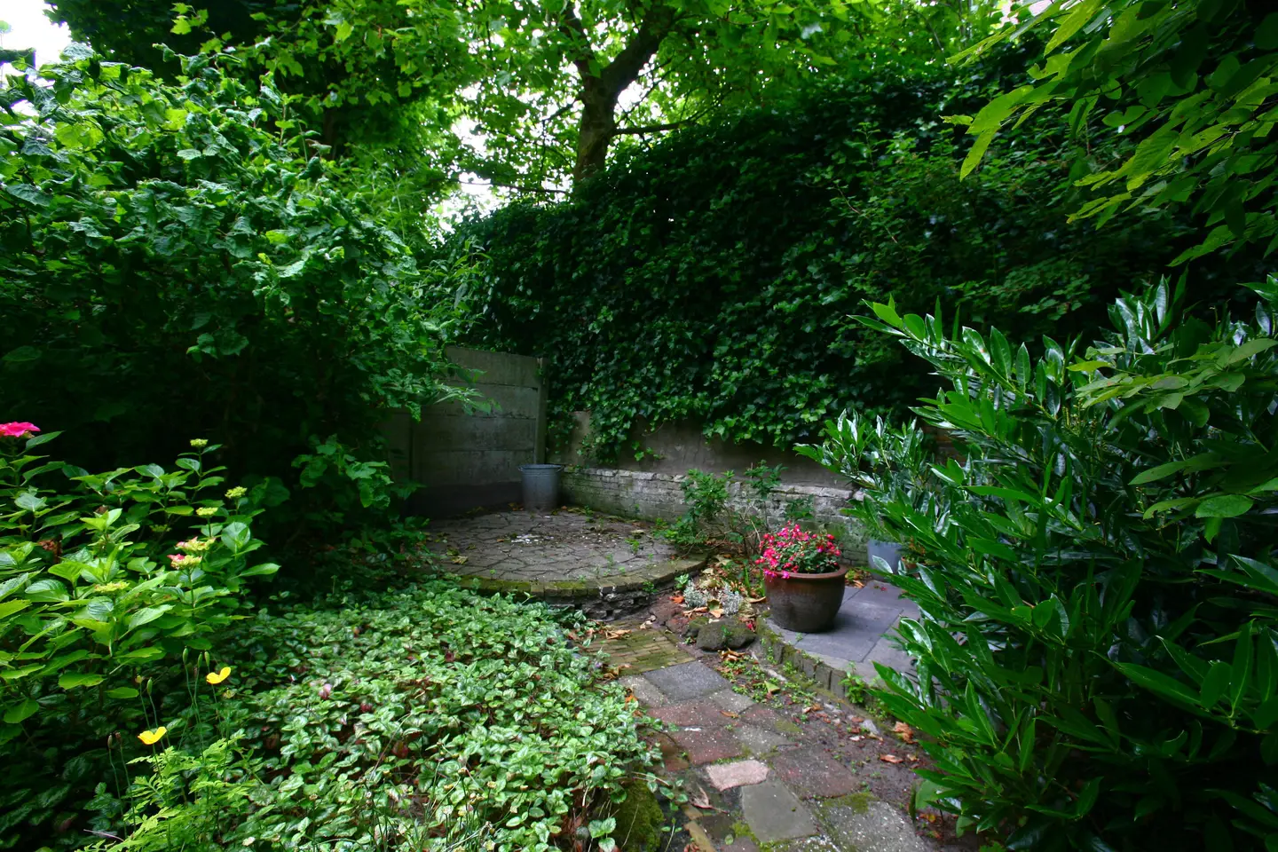 Foto #37 Huurwoning Obrechtstraat Den Haag
