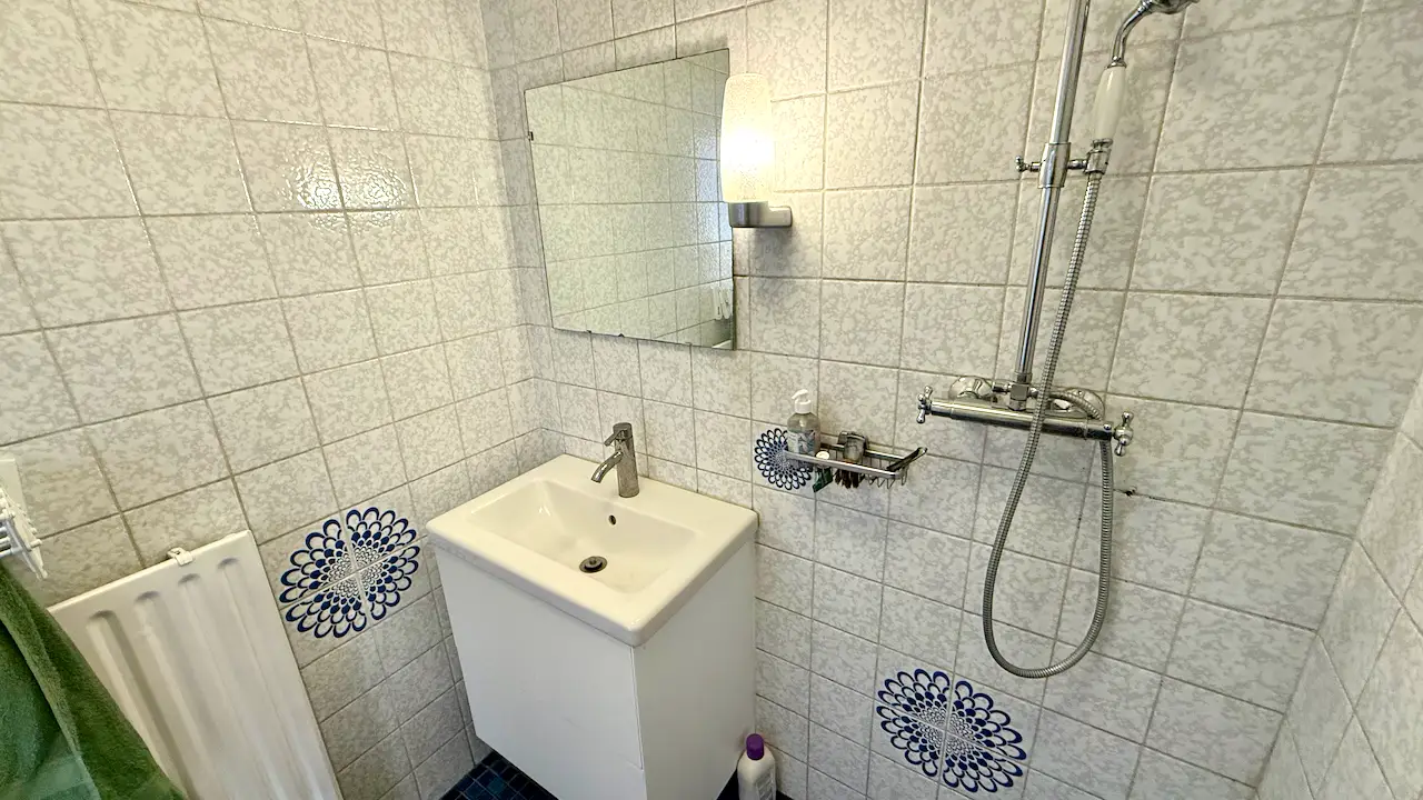 Foto #11 Appartement Theresiastraat Den Haag