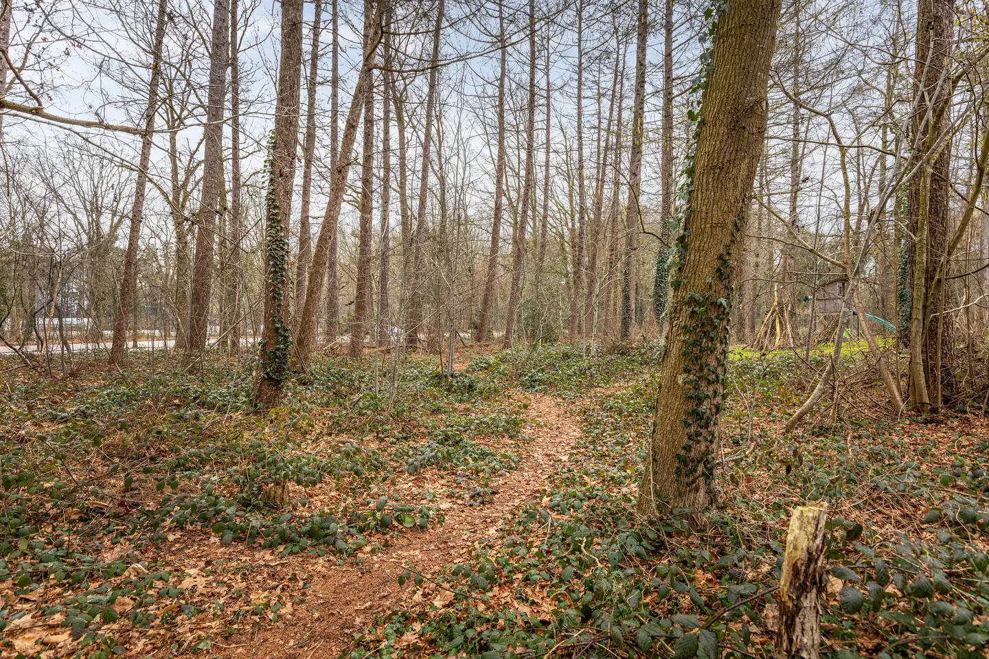 Foto #42 Huurwoning Heuvelweg Vlagtwedde