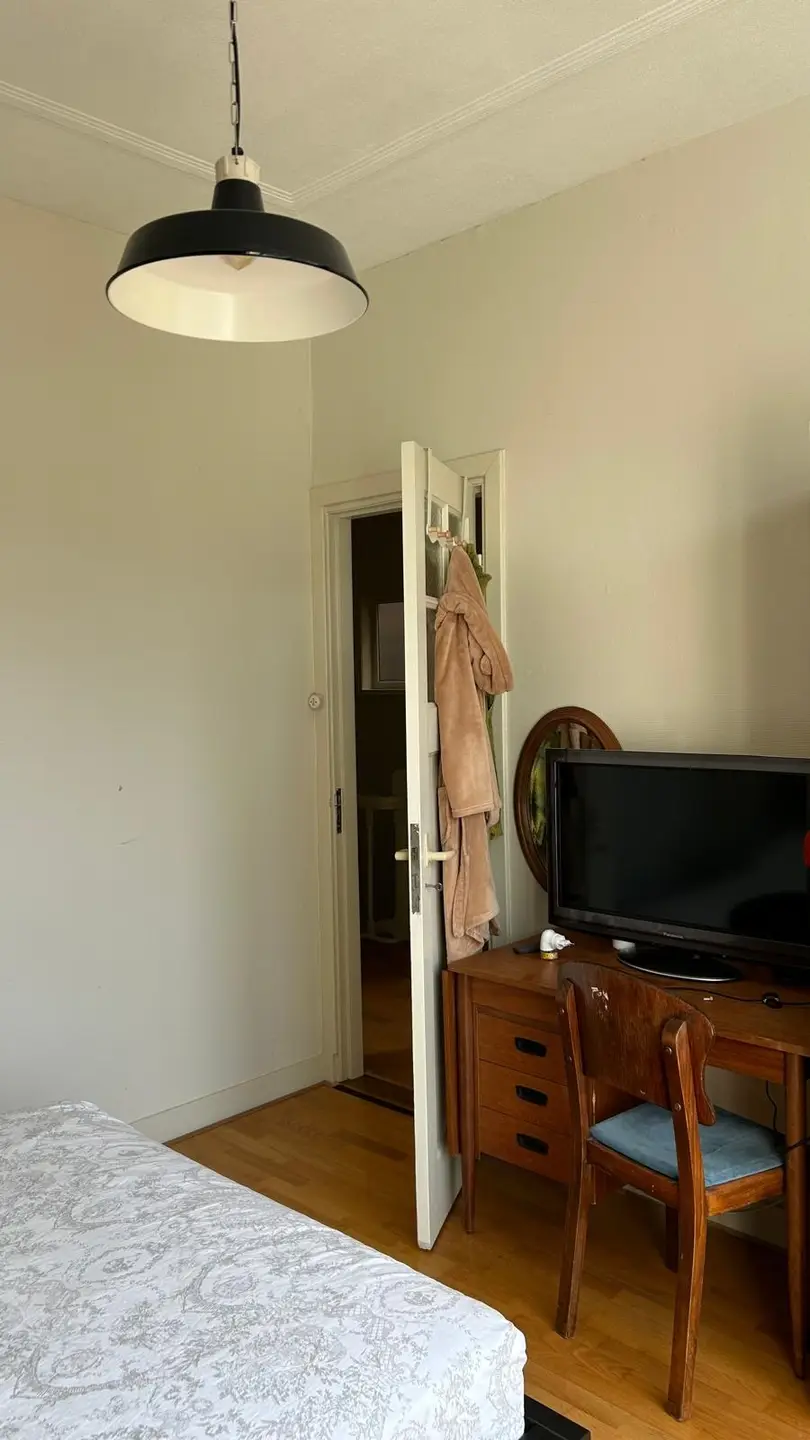 Foto #23 Huurwoning Lippe-Biesterfeldweg Den Haag