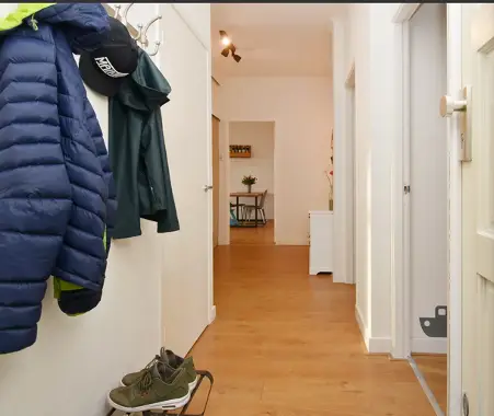 Foto #3 Appartement Pahudstraat Den Haag