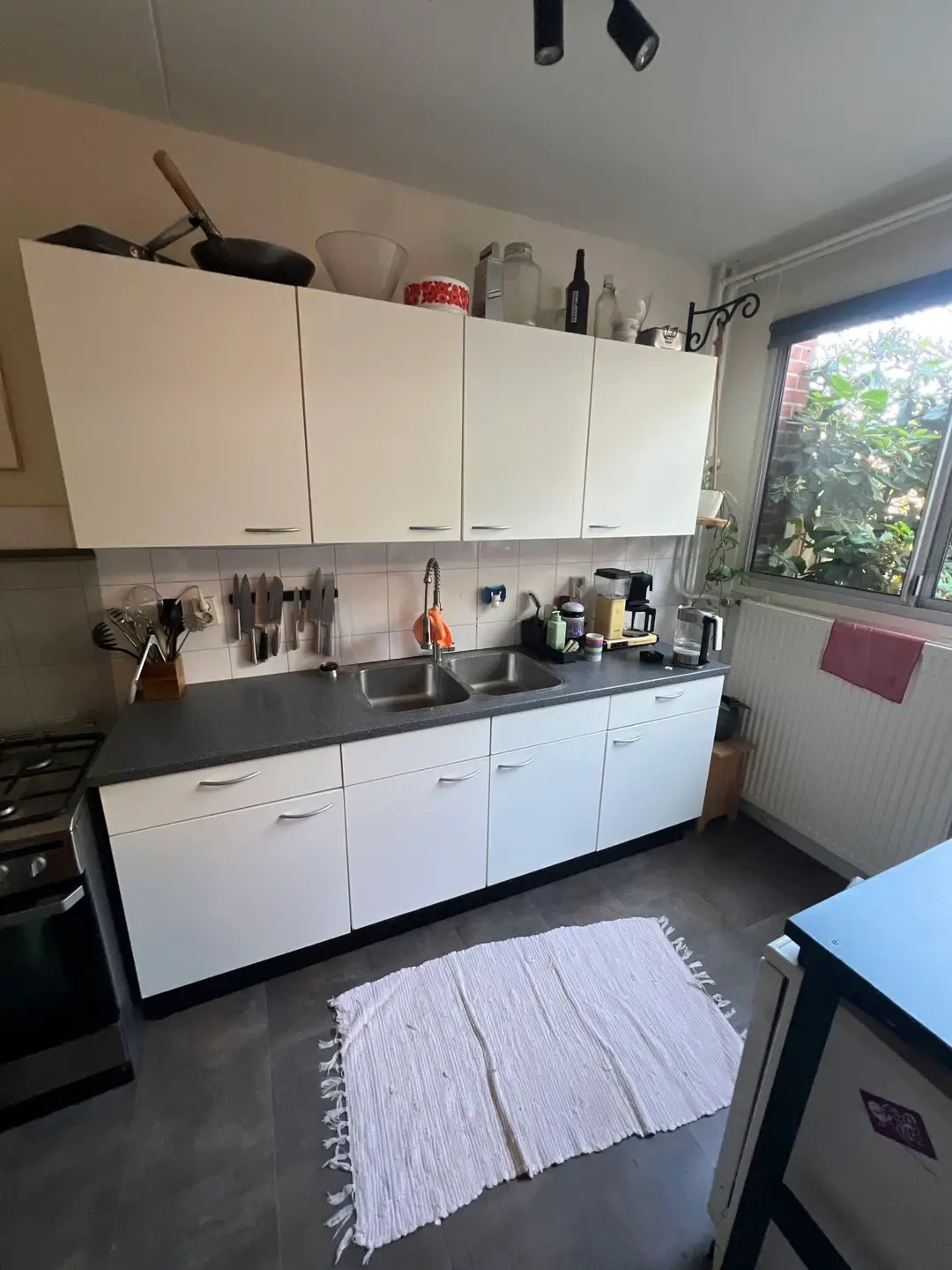 Foto #7 Huurwoning Kolkrijst Hoogland