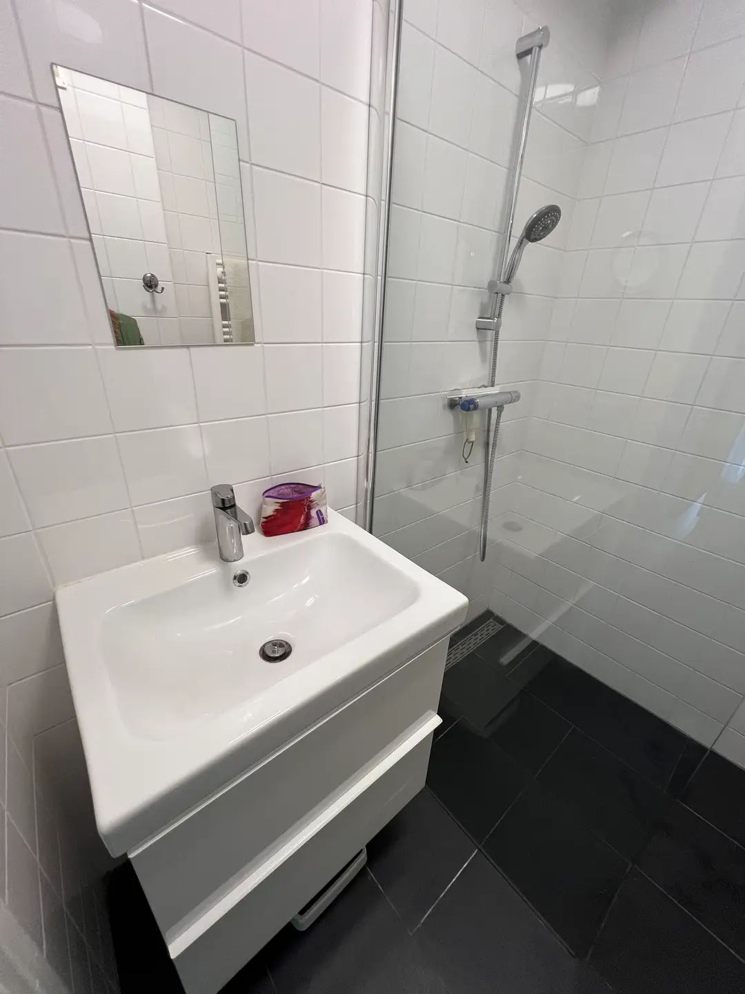 Foto #18 Appartement Karel Doormanlaan Utrecht