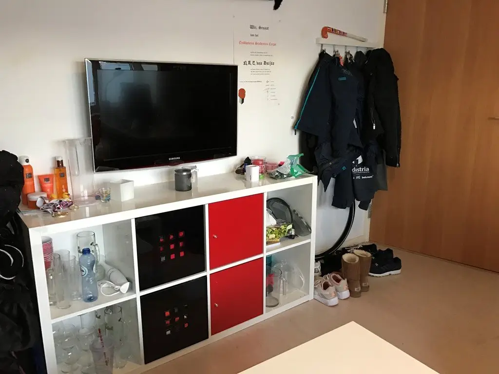 Foto #9 Appartement Ranonkelstraat Eindhoven