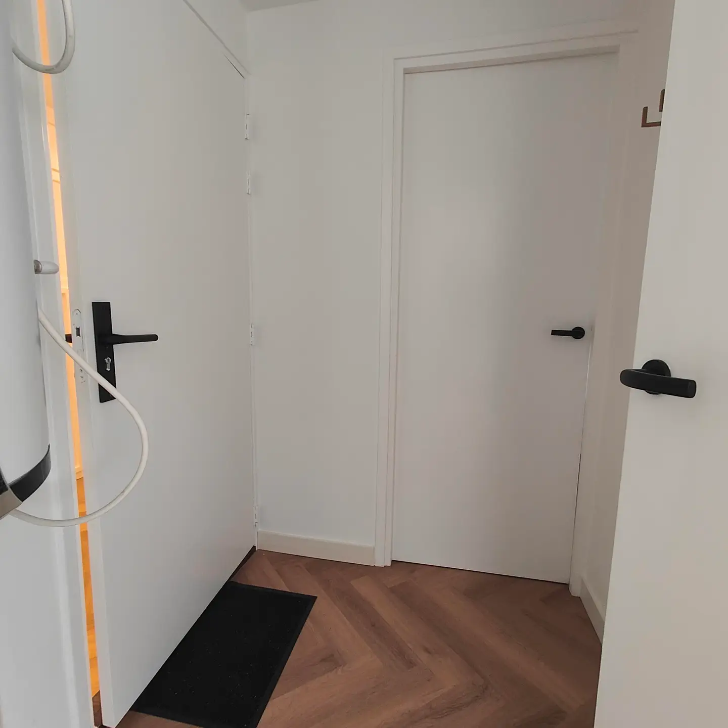Foto #5 Appartement Langdonkenstraat Eindhoven