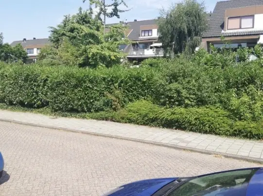 Foto #11 Appartement Badhoevelaan Badhoevedorp