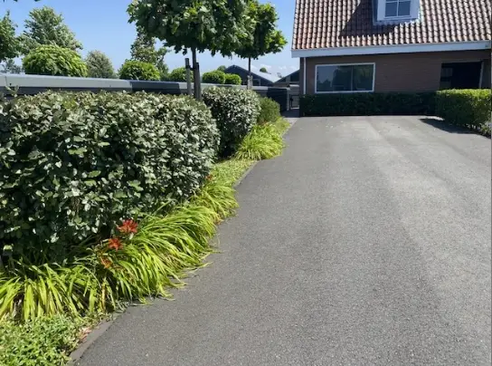 Foto #40 Huurwoning Heermanszwet Rijsenhout