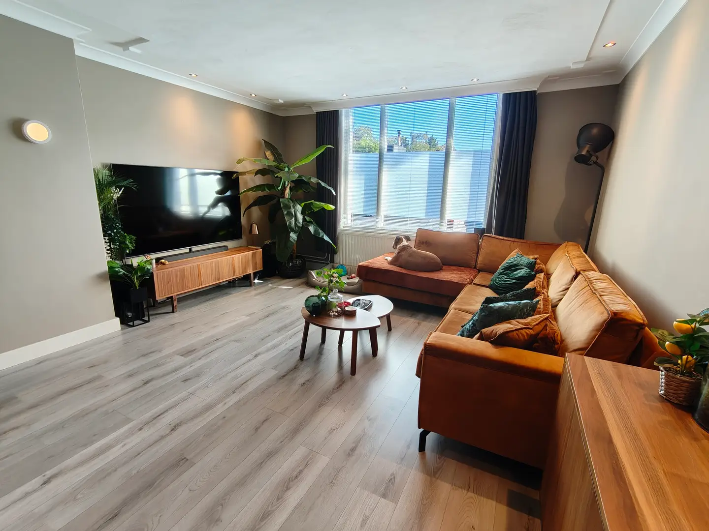 Foto #4 Huurwoning Hoge Vonderstraat Sint-Oedenrode