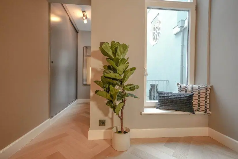Foto #13 Appartement Lange Houtstraat Den Haag