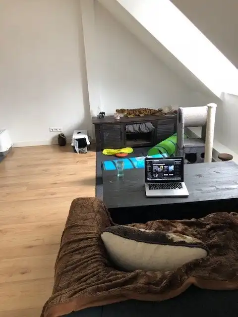 Studio Foto #0 te huur bij Huurstunt