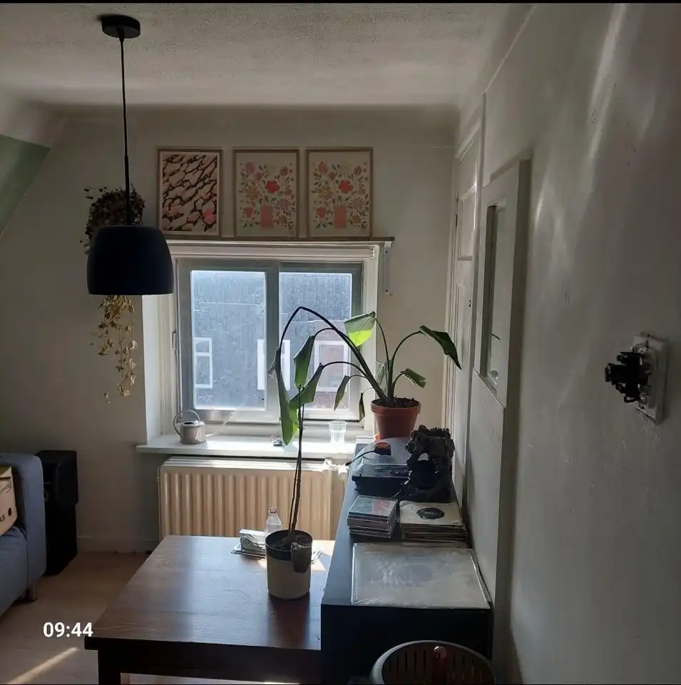 Foto #4 Kamer Prunusstraat Tilburg