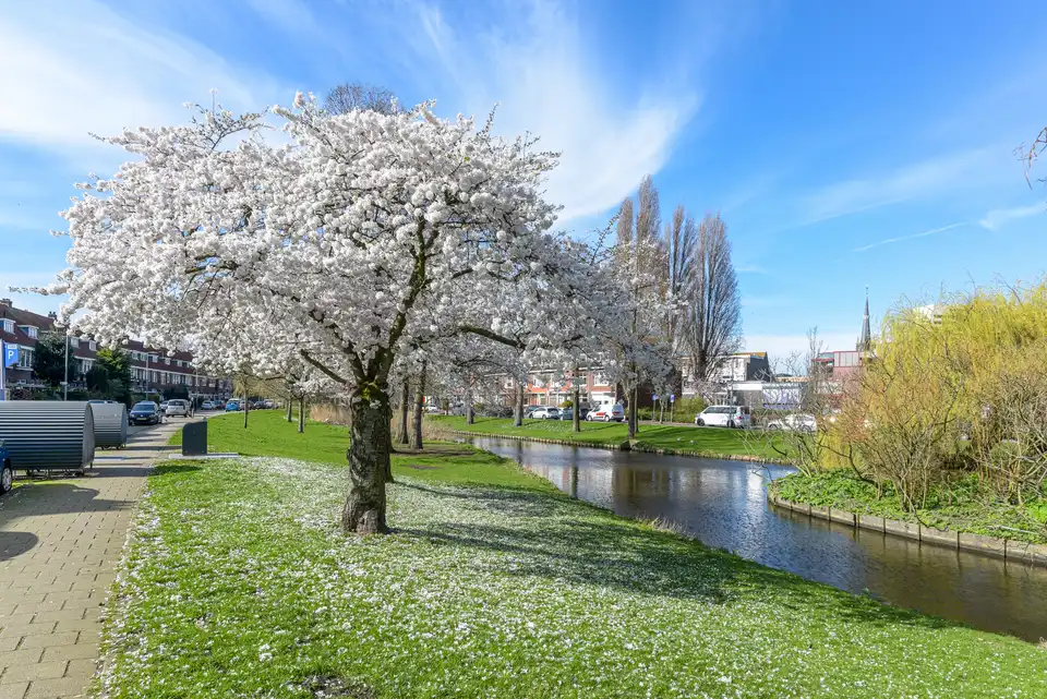 Foto #20 Appartement Ampèrestraat Schiedam