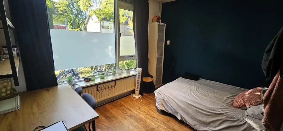 Kamer Foto #0 te huur bij Huurstunt