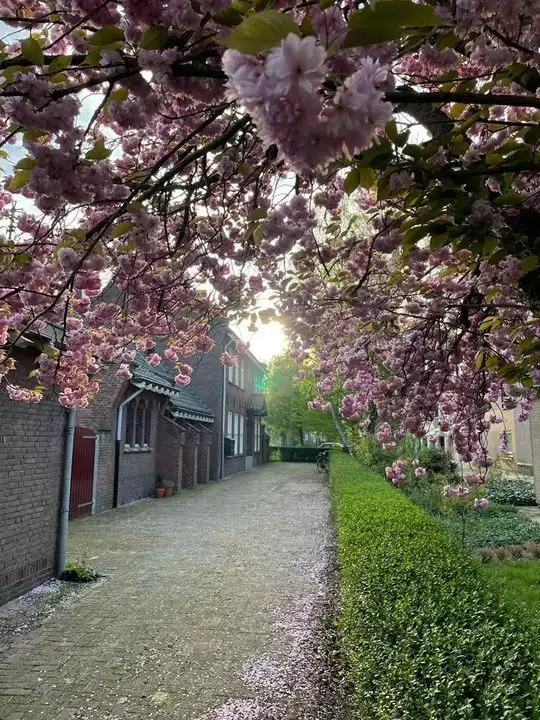 Appartement Foto #0 te huur bij Huurstunt