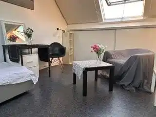 Studio Foto #0 te huur bij Huurstunt