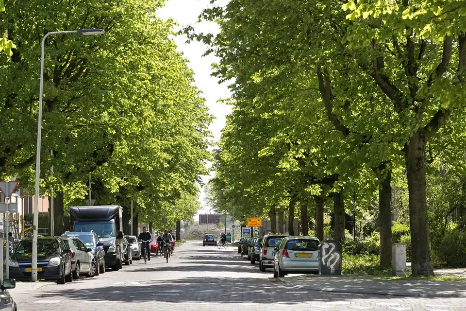 Foto #0 Kamer Van Oldenbarneveldtstraat Arnhem