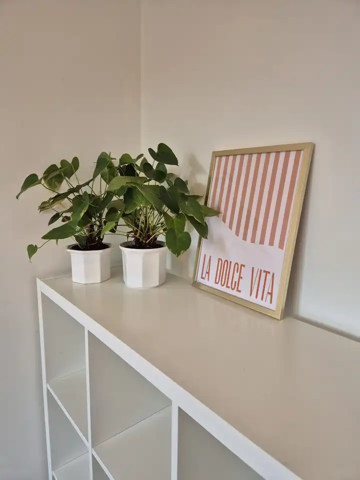 Foto #6 Appartement Zeelsterstraat Eindhoven